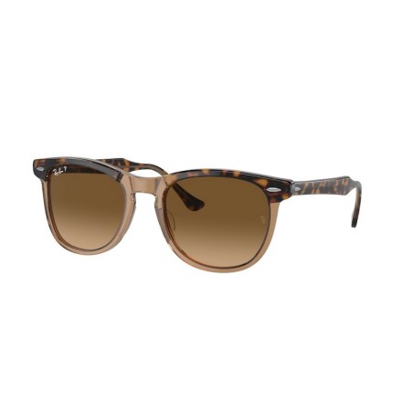 Ray-Ban EAGLEEYE RB2398 1292M2 Ray-Ban EAGLEEYE RB2398 1292M2