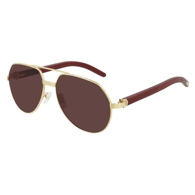 Cartier CT0272S 004