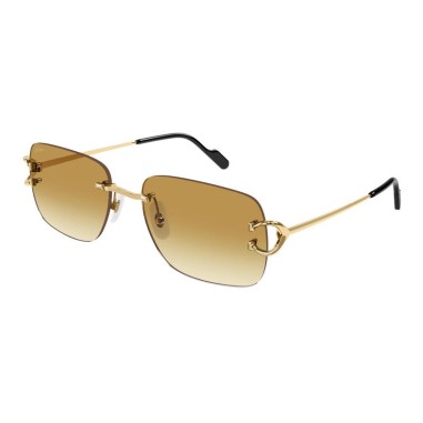 Cartier CT0330S 003