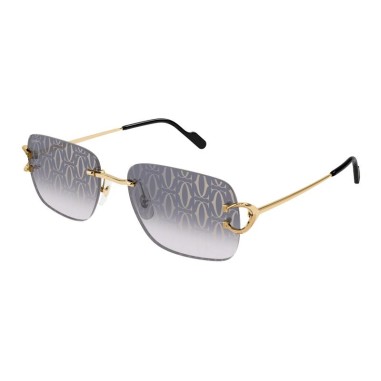 Cartier CT0330S 007