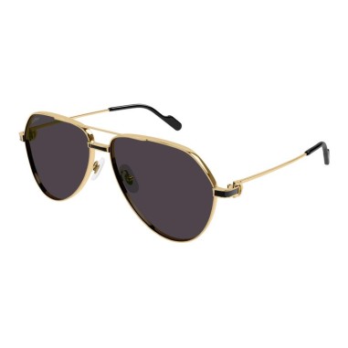 Cartier CT0334S 001