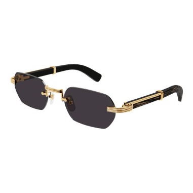 Cartier CT0362S 001
