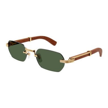 Cartier CT0362S 002