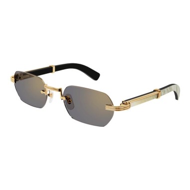 Cartier CT0362S 003