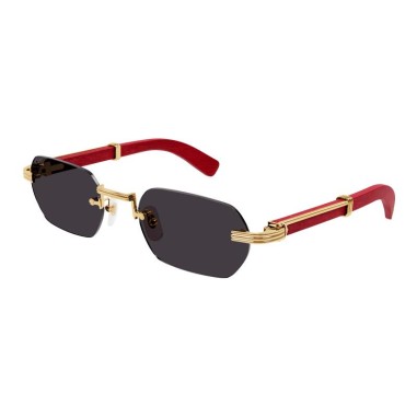 Cartier CT0362S 004