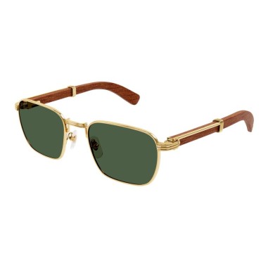 Cartier CT0363S 002
