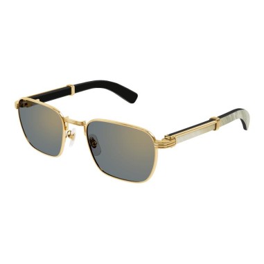 Cartier CT0363S 003