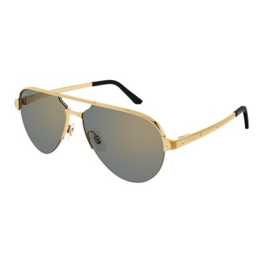 Cartier CT0386S 003