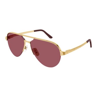 Cartier CT0386S 004