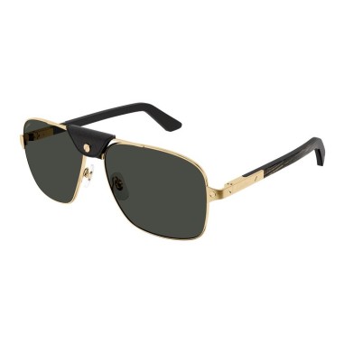 Cartier CT0389S 001