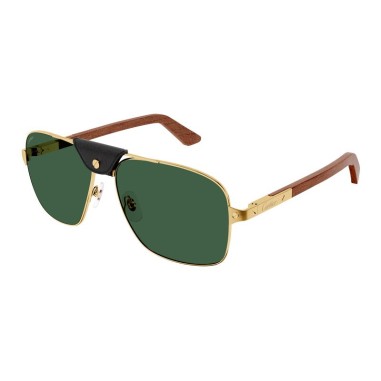 Cartier CT0389S 002