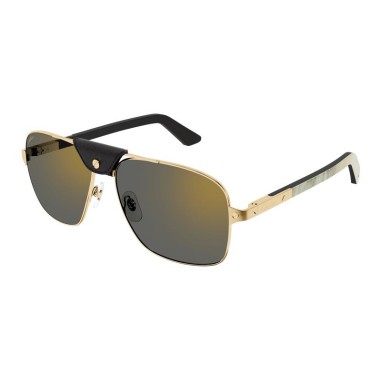 Cartier CT0389S 003