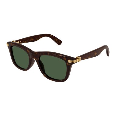 Cartier CT0396S 002
