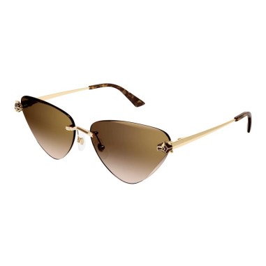 Cartier CT0399S 002
