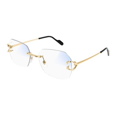 Cartier CT0416S 001