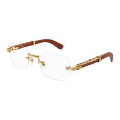 Cartier CT0377O 002