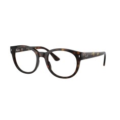 Ray-Ban RX7227 2012