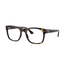 Ray-Ban RX7228 2012