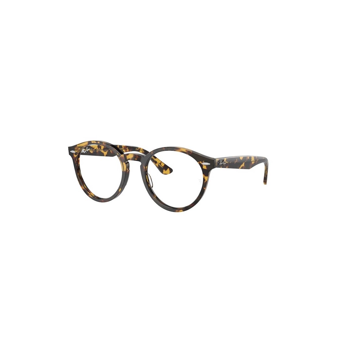 Ray-Ban LARRY RX7680V 8116