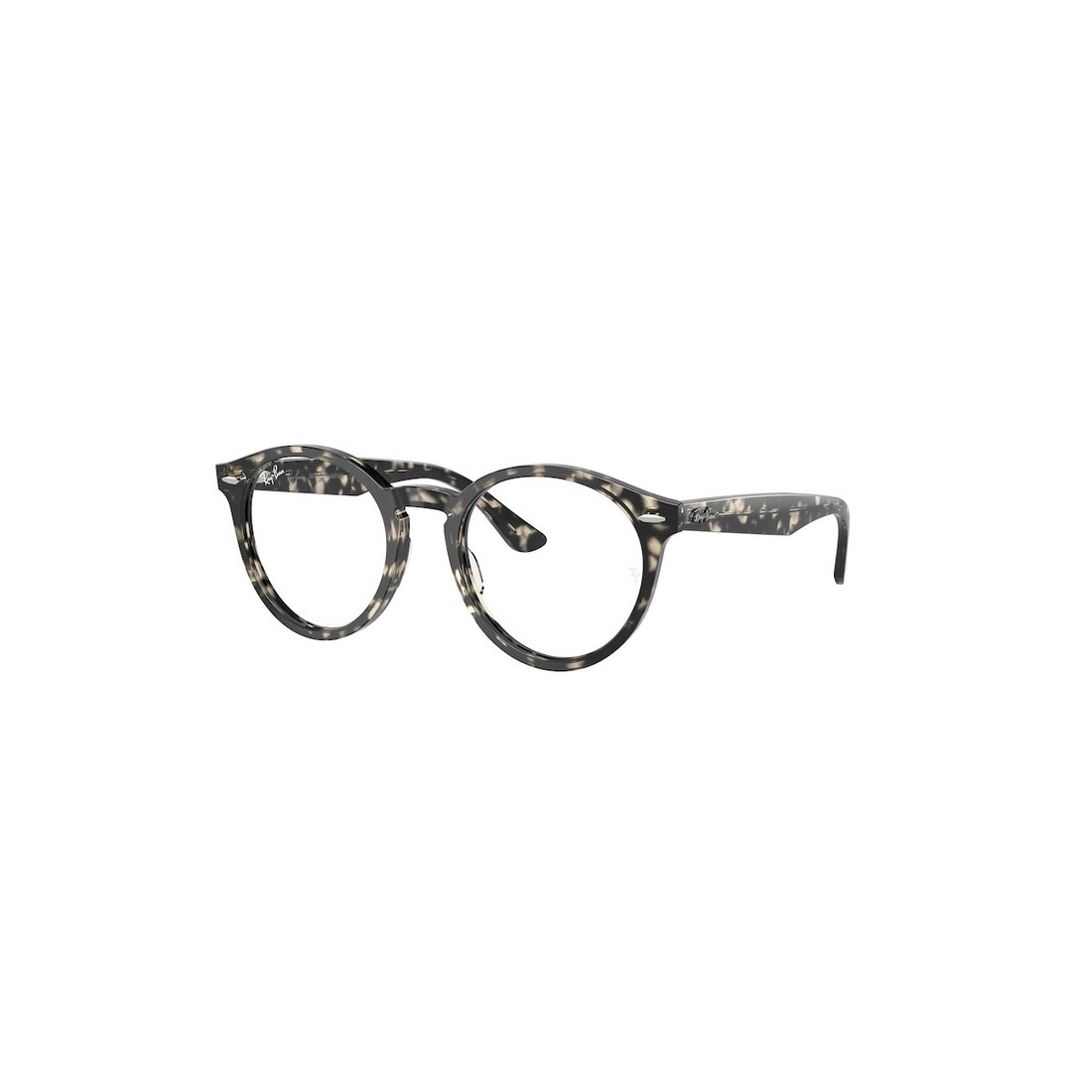 Ray-Ban LARRY RX7680V 8117