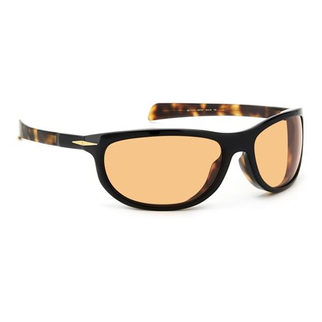 David Beckham DB 7117/S WR7(W7)