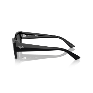Ray-BanRB4430 667787