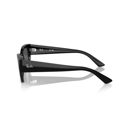 Ray-BanRB4430 667787