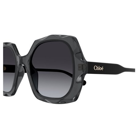 Chloé CH0226S 001