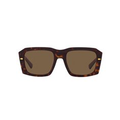 Dolce & Gabbana DG4430 502/73 2