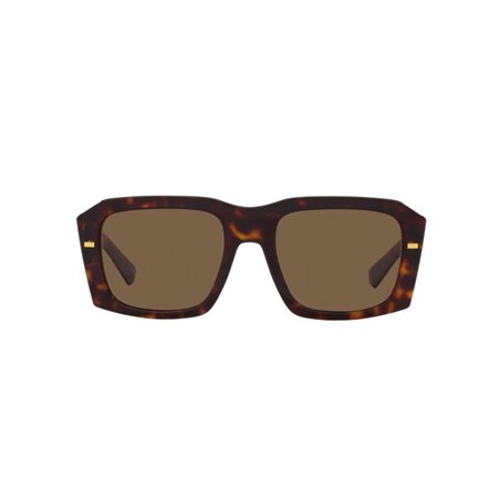 Dolce & Gabbana DG4430 502/73