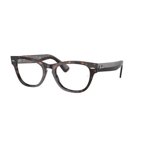 Ray-Ban LARAMIE RX2201V 2012