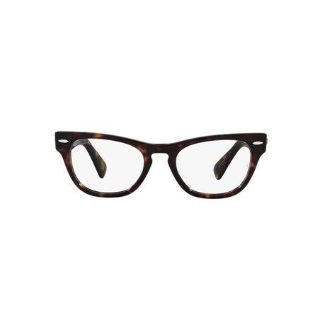 Ray-Ban LARAMIE RX2201V 2012