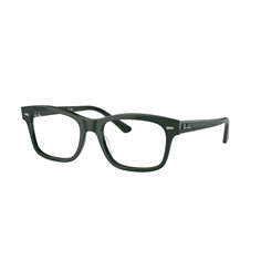 Ray-Ban MR BURBANK RX5383 8226