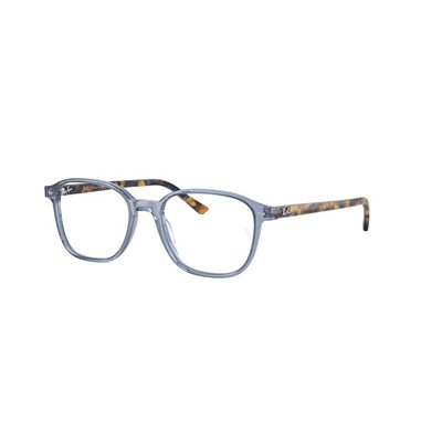 Ray-Ban LEONARD RX5393 8228