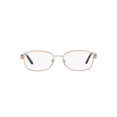 Sferoflex SF2570 488 2