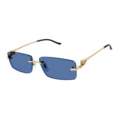 Cartier CT0430S 004