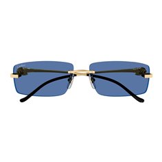 Cartier CT0430S 004 2