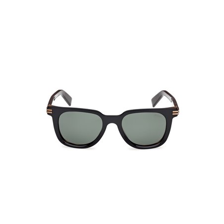 Ermenegildo Zegna EZ0248 05R