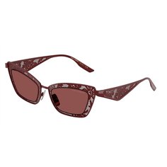 Dolce & Gabbana DG2311 131975