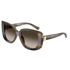 Dolce & Gabbana DG4495 344713