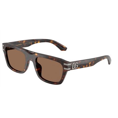 Dolce & Gabbana DG4496 502/73