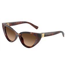 Dolce & Gabbana DG4497 322274