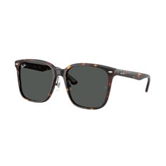 Ray-Ban RB2206D 710/87