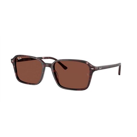 Ray-Ban RAIMOND RB2231 1416C5