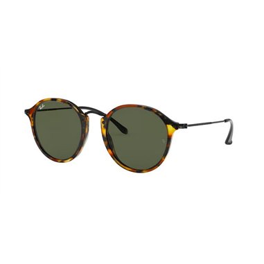 Ray-Ban ROUND RB2447 1157