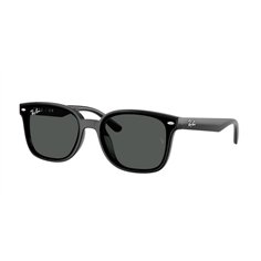 Ray-Ban RB4461D 601/87