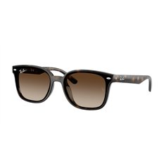 Ray-Ban RB4461D 710/13