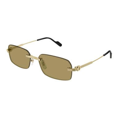 Cartier CT0271S 009