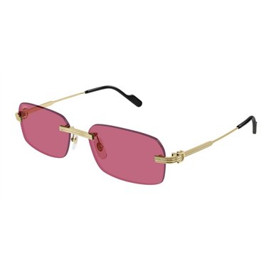 Cartier CT0271S 010