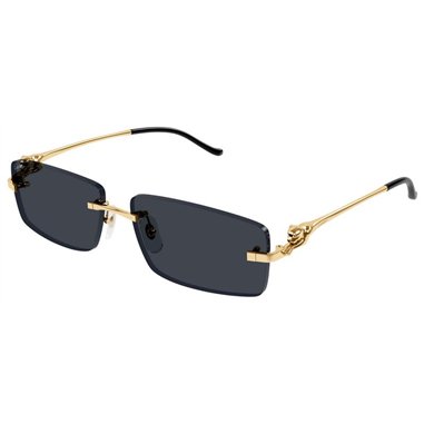 Cartier CT0430S 001